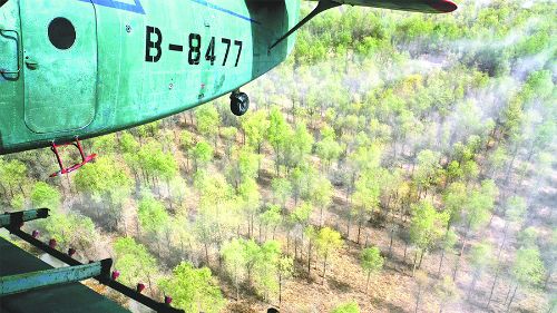 4月14日，一架農用飛機在第一師10團防風林帶上空噴灑殺蟲劑。自4月上旬以來，兵團對葉爾羌河、塔里木河流域的第一師、第二師和第三師的35萬畝野生胡楊林和人工林實施飛防，有效控制食葉害蟲對野生胡楊林和人工林的危害。 王志清攝