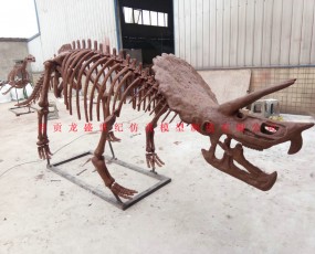 恐龍化石骨架  骨架制造