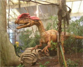 雙冠龍 恐龍租賃 仿真恐龍出售 恐龍展覽